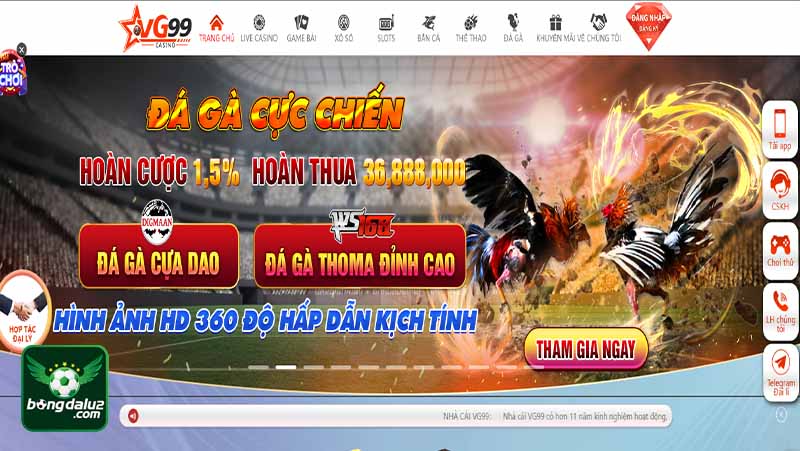 Giao diện đặc biệt VG99