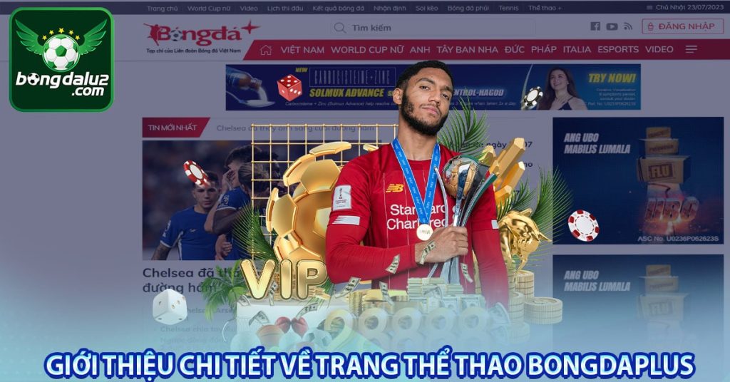 Giới thiệu chi tiết về trang thể thao Bongdaplus 