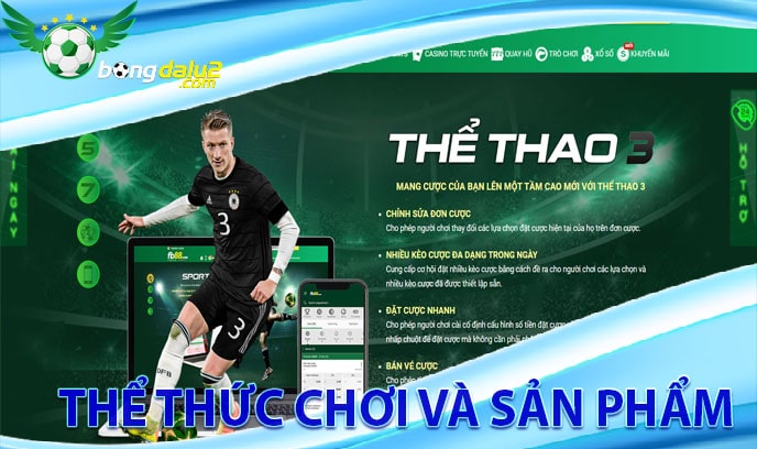 Thể thức chơi và sản phẩm