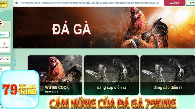 Cảm hứng của đá gà 79king