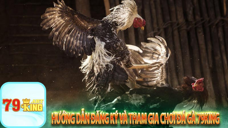 Hướng dẫn đăng ký và tham gia chơi đá gà 79king 