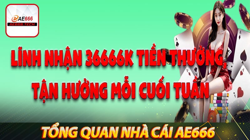 Tổng quan chung về nhà cái cá cược ae666 