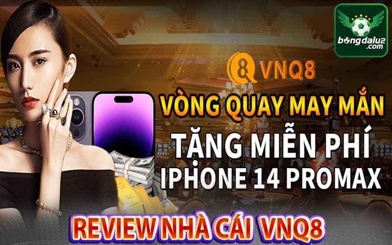 Vnq8