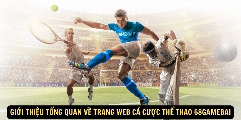 Giới thiệu tổng quan về trang web cá cược thể thao 68gamebai